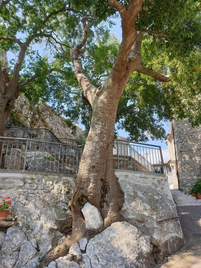 Vila Casa Di Mamma Rosa Castelnuovo Parano Exteriér fotografie